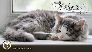 Music for Stressed Cats - Peaceful Harp Music (with cat purring sounds)