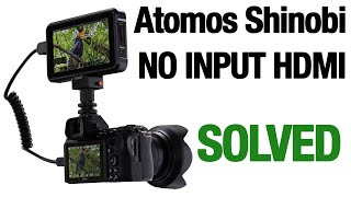 Atomos Shinobi NO INPUT problems with Sony (SOLVED)