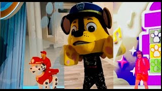 Paw Patrol "Pup pup Boogie" theme song. Sing and Dance with Marshal Dora & Blues Clues Nick Jr. live