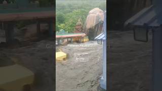 வெள்ளத்தில் மிதக்கும் சிவாலயம் #sivan #trending #flood #sivan_temple #sivas #shortsfeed #shortsvideo