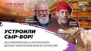 Устроили сыр-бор! Как американец и англичанин делают молочный бизнес в России / Кто куда