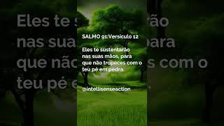 Salmo 91 Ver 12 - #reflexão #liberdade #motivação #salmo91 #fé #cidmoreira #salmos