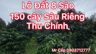 Bán Đất Sầu Riêng 150 cây, cà phê 1000 cây, diện tích 8 xào tại xã Quảng Tín, Đắk Nông