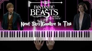 Newt Says Goodbye to Tina - Fantastic Beast OST - James Newton Howard - Piano Cover / Tutorial