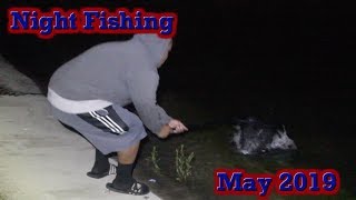 Night Fishing: May 2019