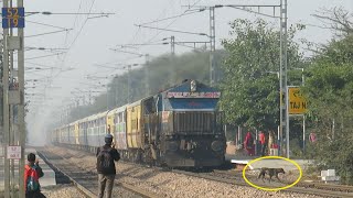 Terrific Honk and Speed of EMDs | Bikaner Intercity + Runicha Express.