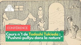 "Pushmi-pullyu dans la nature" : retrouvez le cours de Tadashi Tokieda | ENS-PSL