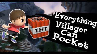 Everything Villager can pocket from Steve