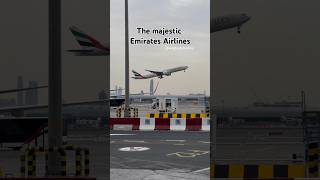 The Majestic Emirates Airlines #airlines #emirates #dubaiairport #dubaiairline #dubaibeautifulcity