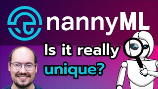 What Makes NannyML Unique in the Monitoring Space?