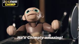 Zoomer | Chimp | He's Chimply Amazing!