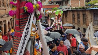 gaijatra / Bhaktapur gaijatra