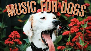 HOURS of Relaxing Dog Anxiety Music: Healing Sleep Sounds for Canines