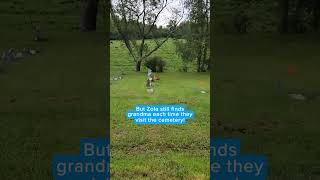 Pit bull locates grandma’s grave without ever meeting her | Humankind #shorts #goodnews