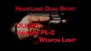 Show and Tell Monday, Bright Weapon Light, under $100 Bucks