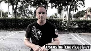 Tigers of Choy Lee Fut - Plum Flower Fist - Elbow Combo-1