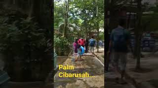 Kolam renang palm cibarusah