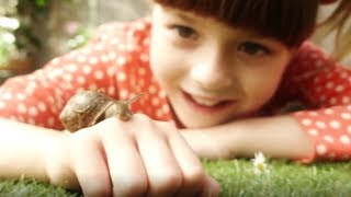 Topsy and Tim (Season 1 Episode 5) Lost Keys Full Episode in HD