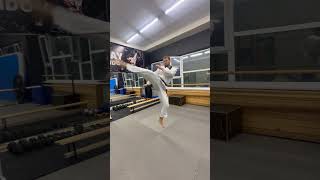 Taekwondo ART KICKS! #shorts #viralvideo