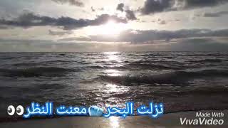 نجوى كرم نزلت البحر حالات واتساب