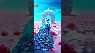 piyaa rangeela||4k nature video||♥️🌹💔 status video #shorts #trending