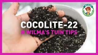 Wilma's Lawn & Garden - Cocolite-22