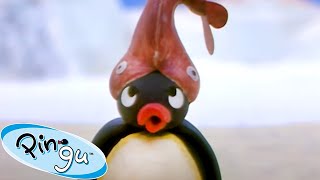 A NEW Fish Hat?! 🐧 | Pingu - Official Channel | Cartoons For Kids