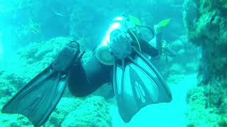 Scuba diving in Cozumel Mexico