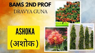 DRAVYA GUNA 2nd Prof  ||  ASHOKA (अशोक ) ||  According to NCISM  ||  BAMS WALA  ||