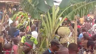 Eketensi Uzuakoli at 2024 New yam festival #culturalcarnival #culture #tradition #carnival