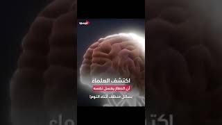 هل تعلم ماذا يحدث أثناء النوم شاهد هذا الفيديو الأكثر من رائع