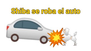 Las desventuras de chems: Shiba se roba el auto