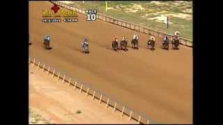 Hobbs America Futurity - Zia Park - October 5, 2014