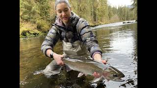 Episode 342 - Spring steelhead