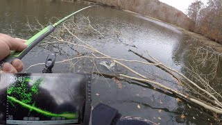 HEAVY Cover CRAPPIE | VERTICAL JIGGING