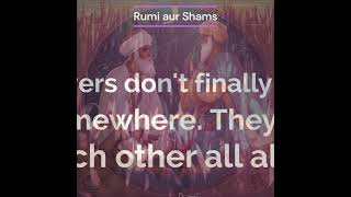 #sufi #rumi #shayar #shayari #rumikishayari #jalaluddinrumi #maulanarumi #maulana #sufipoet #persian