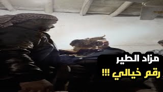 اصطياد طير حر شاب من قرية سليمان ساري !!وبيعه بسعر خيالي لايتصوره العقل!!🤯🔥