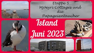 Island Juni 2023 - Etappe 5 Mjóeyri Cottages und die Papageientaucher