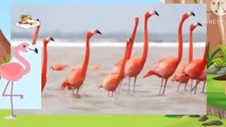 Bim and Bam in The Animal World Flamingo BRAND NEW 2024