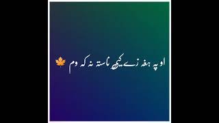 Imovie Black screen status|Black screen Whatsapp status pashto poetry|Sad poetry ||