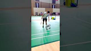 Headless Robot Dog Bringing Badminton Shuttles 🤯🤖