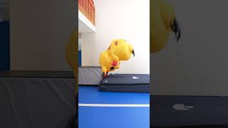 Pikachu Parkour Fails 🤣 #shorts