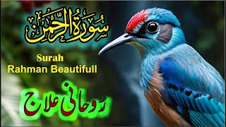 Surah Rahman Beautiful Tilawat e Quran | سورۃ رحمن | Tibyan Tv Ep 238