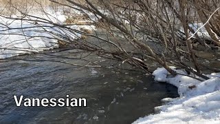 Звуки природы для медитации + видео 🍃Шум воды,ветра,пение птиц🍃 Снято автором канала