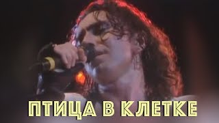 Валерий Леонтьев  - Птица в клетке (1991г.) | Made in India