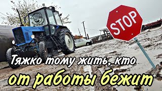 Последние тëплые деньки