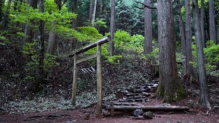 Mount Mitake and Odake Mystic Hike