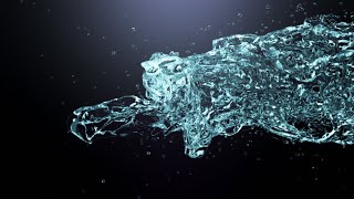 Water Splash Logo Reveal