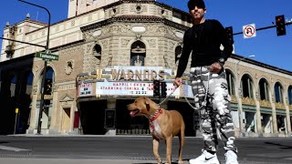 Downtown Fresno Dog Walk