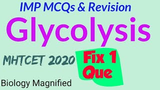 Glycolysis for mhtcet 2020, Imp mcqs on respiration, glycolysis 12th biology maharashtra state board